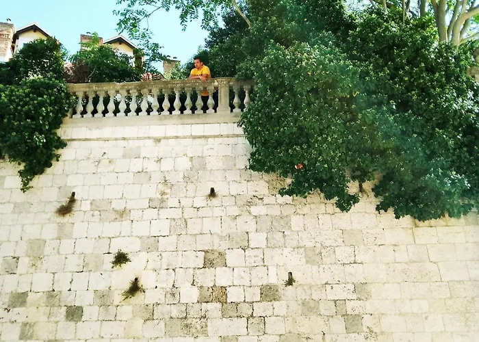 Garden *